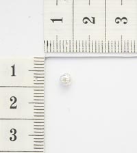 ���������. ������ �������������/5��. 5550140