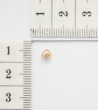 ���������. ������ �������������/5��. 5550149