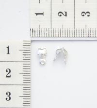 ���������. ������ ��������. 555240