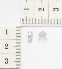 ���������. ������ ��������. 555248