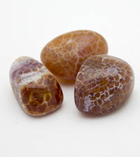 ��������. ����. 803-5��