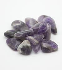 ��������. �������. 8061-4��