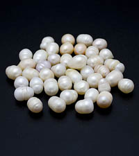 ��������. ������. 8202�