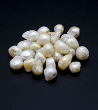 ��������. ������. 8203�