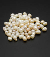 ��������. ������. 8204�