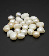 ��������. ������. 8205�