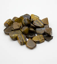 ��������. �������� ����. 8028-3��