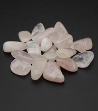 ��������. ������� �����. 8023-4��