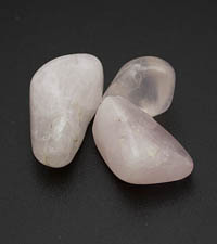 ��������. ������� �����. 8023-5��