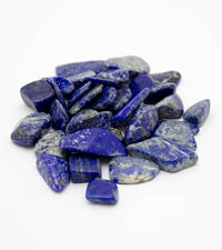 ��������. �������. 8013-3��