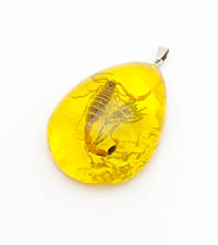 ����� � ������� ��������. 8746061��