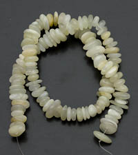 ������. ������ ������.  7825593/3��