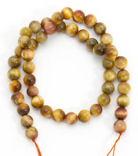 ������. �������� ����. 7828981-2��