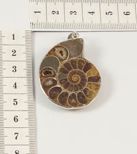 ����� �� ��������. 874601