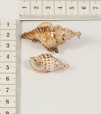 �������� ������� �� �������. 37055��