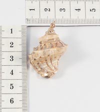 ����� �� �������. 37054��