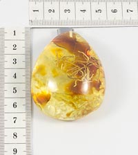 ����� � �������. 8746065��