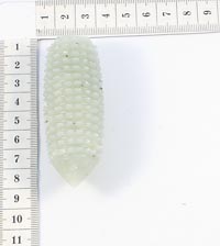 �������� ��� �������  �� �������. 1019031