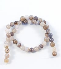 ������. ����. 7832081-202��