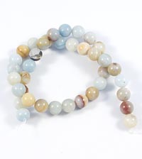 ������. ��������. 781520101��