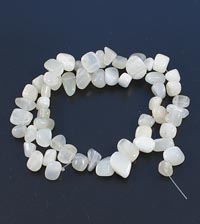 ������. ������ ������.  7855015��