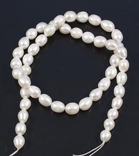 ������. ������. 728109�