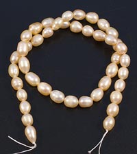 ������. ������. 728309�