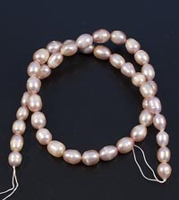 ������. ������. 728409�